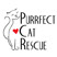 Purrfect Cat Recue Logo